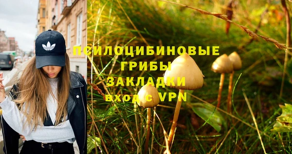 каннабис Баксан
