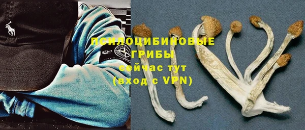 молекула духа Новозыбков